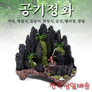 숯부작 개업식/이전/축하선물/실내공기정화/전국3시간배송