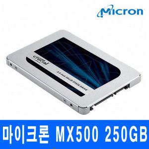 마이크론 SSD MX500 250GB Crucial 대원cts 정품