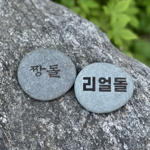 쓸데없는 반려돌 애완돌 웃긴 선물 [짱돌 & 리얼 쓸모없는 돌 신박한 재밌는 인싸템 특별한 학생 생일 무쓸 모 펫스톤 돌 키우기 킹받는 필요없는 재미있는 특이 한 독특한 템]