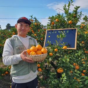 제주도 서귀포 밀감 고당도 노지 극조생 감귤 3kg,5kg,10kg 타이벡