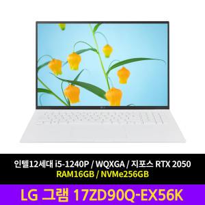 LG전자 LG그램 17ZD90Q-EX56K 노트북