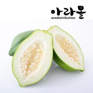 필리핀 그린파파야 (Green Papaya), 2과, 1kg