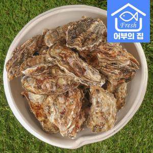 제철 통영 하프 굴 생굴 각굴 석굴 석화 10kg