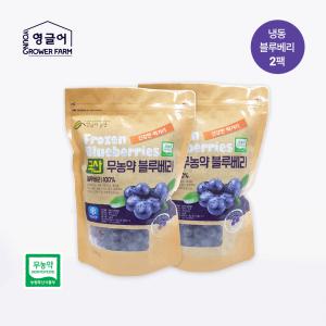 [영글어농장] 국내산 무농약 냉동블루베리 1Kg (500g X 2팩)