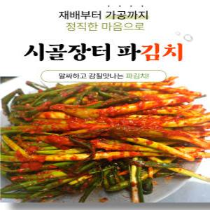 맛있는 전라도 여수 파김치 1kg