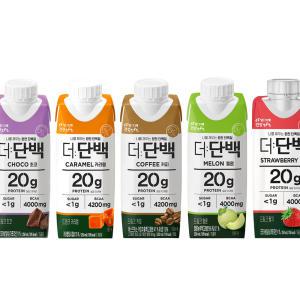 빙그레 더단백 5종 9+9 골라담기 250ml 18개 / 멜론 딸기 커피 카라멜 초코 단백질 프로틴 음료