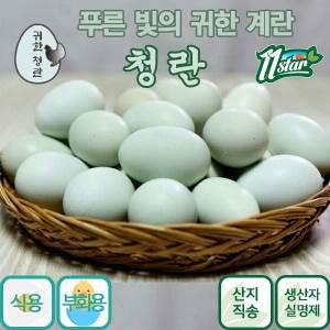 귀한 청란 푸른색달걀/청계알/식용 부화용/청계란/자연방사 유정란