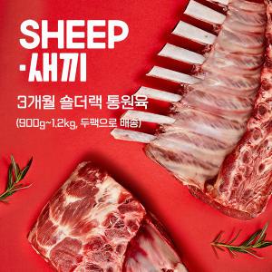 [오리지널픽_SHEEP새끼] 통원육 3개월미만 숄더랙- 어린양 양갈비 프리미엄 토마호크 캠핑 코스트코 양고기 쉽새끼