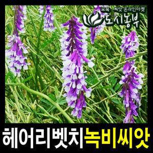 헤어리베치(호주)   1kg