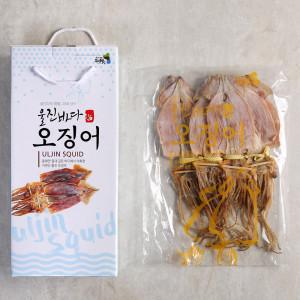 (울진오징어) 마른오징어 10마리 470g ( 100% 국내산 -선동 )