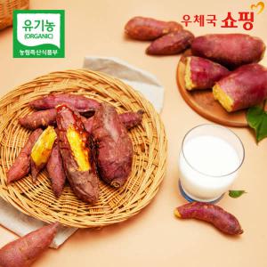 [우체국 쇼핑] 농바름 real 유기농 햇고구마 3kg(한입,특상)