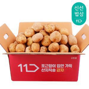 [품질보장] 노지재배 감자 5kg 중 대 특 왕특