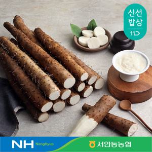 [서안동농협] 국산 햇 장마 2kg 특품 상품 중품 알뜰