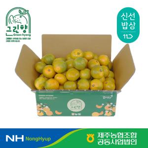 [제주농협] 귤로장생 고당도 그린향 감귤 2.5kg 4.5kg 신품종 11브릭스이상