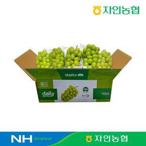 [경산자인농협] GAP인증 샤인머스켓 2kg 5수 실속형 저탄소인증