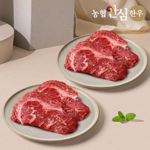 1등급 한우 등심 300g+300g