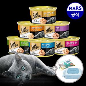 쉬바캔 85g 24개 골라담기+캣닢쿠션+베베숲물티슈1팩