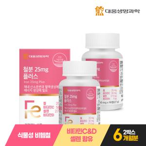 대웅생명과학 철분 25mg 플러스 90정 2박스 6개월분 / 임산부 고함량 비헴철 비타민C 비타민D