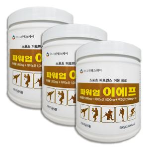 PWR-UP 이에프 글루타민 BCAA 에너지 부스터 2700g