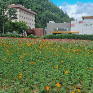 [경북] 주왕산온천관광호텔(경북호텔/청송호텔/청송주왕산온천관광호텔)