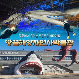 [해남] 땅끝해양자연사박물관 입장권(~10.31)/해남여행/가볼만한곳/남해여행/해양생물/전시회/생태계/아이과가볼만한곳/이색박물관/국내해양/