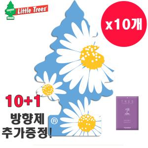 리틀트리 데이지 필즈 10+1 아로마스퀘어 차량용 방향제 종이 자동차 트리 걸이형