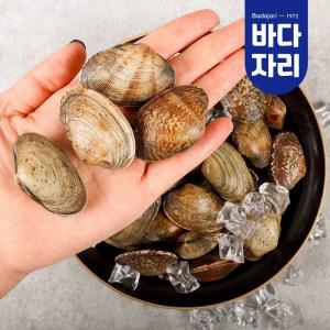 당일어획 남해안 다이버 바지락 3kg