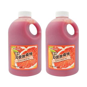 흥국에프엔비 자몽 농축액 1.5L 2개/푸드아트