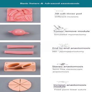 복강경 수술 연습 모형 - 직장 봉합, 혈관 문합, 종양 제거 5종/ 연습용 Suture