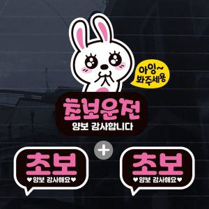 칼라 발그레토끼 초보운전 자동차스티커 3P 자동차용품 익스테리어용품 자동차스티카