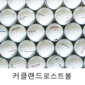 커클랜드 로스트볼 코스트코 화이트 골프공 A급 60알