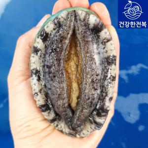 [건강한전복]완도활전복 8-9미1kg