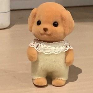 C co Critters Sylvanian 가족 숲 푸들 인형 미니 동물 장난감 장식품 놀이