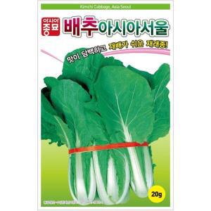 [아시아종묘/배추씨앗종자] 아시아서울배추(20g-약6000립) 재래종