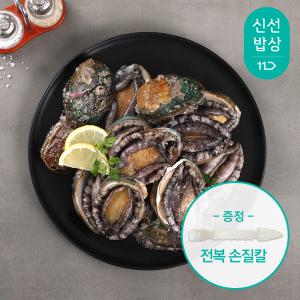 [품질보장]완도 활 전복 1kg 12-13마리 큼지막한 특대 전복 / 전복손질칼 증정