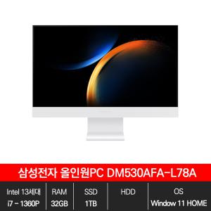 삼성 올인원PC DM530AFA-L78A WIN11/32GB/1TB/EL