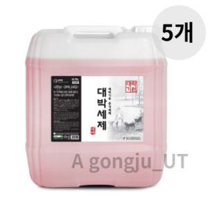 대박 식기세척기 전용 세제 업소용 대용량 18.75L 5개