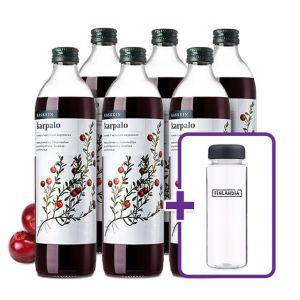 [핀란디아] 카스케인 크랜베리 원액 500ml x 6병