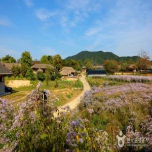 [KTX-당일]안동시티① 하회마을+부용대+병산서원