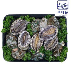 완도활전복 프리미엄 최고급선물세트 C-2호 [20마리/마리당125g내외]