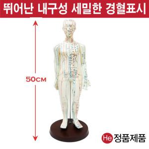 동인형 여자 침구 50cm HD9001ZY 경혈인형 수지침 혈자리 지압봉 요골 척골 인체해부도 고관절 인체모형