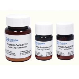 Ampicillin sodium usp grade 암브로티아 AMP5B 5G 항생제 암피실린 파우더 미생물 실험 과학 감수성 내성