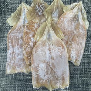 마른 오징어 몸통 500g 9미내외 1kg 18미 내외 안주꺼리 특 (대)_MC