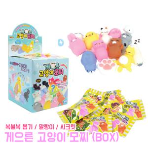 게으른 고양이 모찌 (BOX) 동물 인형 주물럭 피젯토이 장난감 애니멀 복불복 뽑기 말랑이 스퀴시