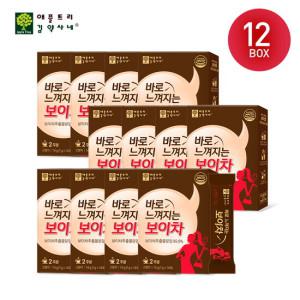 [T][24주분/12박스] 애플트리 김약사네 바로 느껴지는 보이차 14g(1g X 14포) X 12