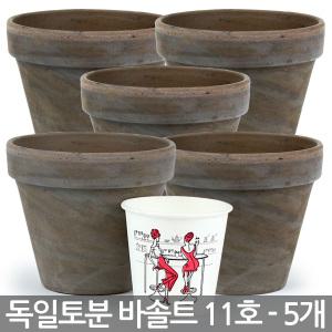 독일토분 바솔트 11호 5개세트 - 표준형 화분 다육이화분 토분 인테리어화분 토기분 미니화분 다육화분 선