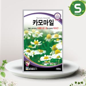 허브씨앗 카모마일씨앗 500립 카모마일 허브씨