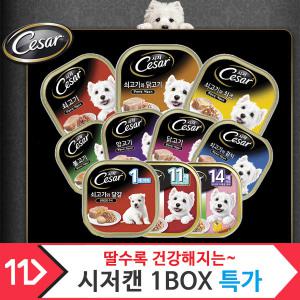 [시저캔]1BOX 강아지캔 통조림 애견간식 강아지간식