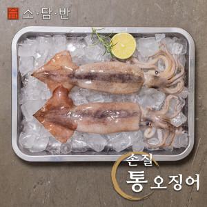 [소담반] 손질통오징어 260g x 10팩(팩당 2미 총 20미 / 2.6kg내외)