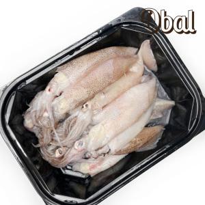 오발 원양산 총알 한치500g (7~13미)